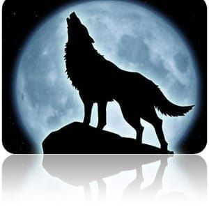 Meet your Posher, Abel